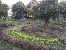 See more ideas about permaculture, permaculture gardening, permaculture design. How To Grow A Permaculture Food Forest