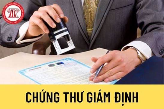 Chứng thư giám định được hiểu thế nào? Giá trị pháp lý của chứng thư giám định được quy định như thế nào?
