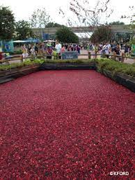 Ocean Spray Cranberry Bog Returns To 2015 Epcot Food And Wine Festival Allears Net
