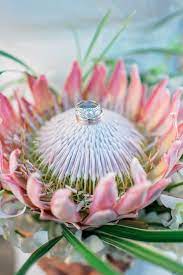 White Gold Diamonds Engagement Ring King Protea Flower Wedding Bands Mariah Milan Protea Wedding Wedding Petals Bridal Bouquet Summer