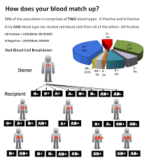 Blood Types Bloodbank Of Alaska
