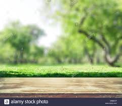Download This Stock Image Park Blur Background M9mdcp From Alamy S Library Of Millions Of High Resolution S Blurred Background Stock Background Stock Photos