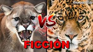 Our car experts choose every product we feature. Estano Melancolico Temperamento Los Jaguares Y Los Pumas Yeso Moviente Desmenuzar