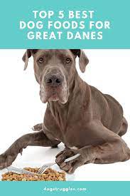 The Top 5 Best Dog Foods For Great Danes Great Dane Best Dog Food Great Dane Puppy