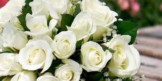 Dalam artian lain makna bunga mawar putih juga merupakan simbol kerendahan hati, kelembutan jiwa. Farahbunga Bunga Mawar Putih