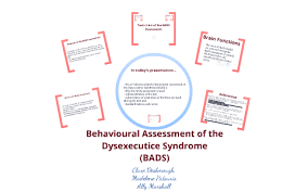 Bads Assessment By Madelene Patsuris
