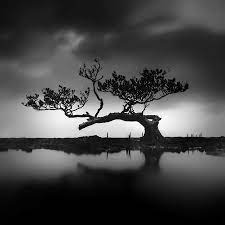 Pin On Creating Strange Worlds