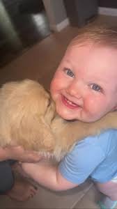 #bestfriends #fypage #goldenretriever