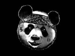 Free download panda backgrounds wallpapers hd. Pin On åŠ¨ç‰©