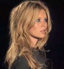 Profil de iris schipper (iris0502)