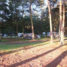 landgoedcamping borkerheide in drenthe tent kampeerplaatsen vakantie