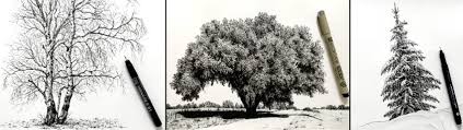 Drawing trees are easy and a good practice to do for either a landscape drawing or just for the sake of drawing a tree, i for one take photos of trees because i like the many ways trees look different and individual to each other. How To Draw Realistic Trees With Pen Ink Ran Art Blog