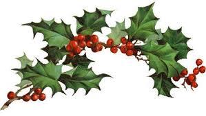 Image result for clipart holly