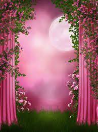 خلفيات وردية للتصميم Anazhthsh Google Photography Studio Background Pink Roses Background Flower Background Wallpaper