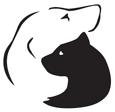 Current adoptable animals are displayed online, and customers can select a maximum of two animals to visit at the shelter. No Kill And The Crisis At The Pueblo Animal Shelter