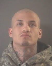 12 sentences by Muskegon County circuit judges Timothy G. Hicks, Annette  Rose Smedley