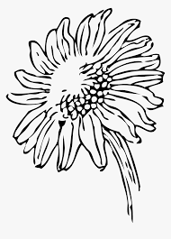 Check spelling or type a new query. Flower Vase Png Black White Transparent Flower Vase Black And White Sunflower Clipart Png Png Download Transparent Png Image Pngitem