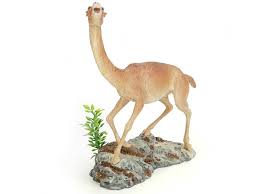 You need to zoom the picture to clearly see the camel. Aepycamelus Prehistoric Camel Urzeitshop