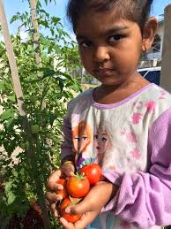Dr. Omardath Maharaj, Agricultural Economist