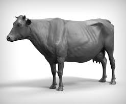 3d Cow Animal Cruelty Art Anatomy Sculpture Animal Drawings