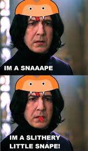 Harry potter has some incredibly devoted fans, and for good reason. 100 Harry Potter Memes That Will Always Make You Laugh