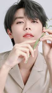 Evan Lin HD phone wallpaper