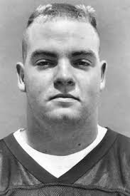 Mike Brownfield (2017)