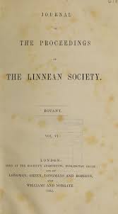 Image result for Agrocharis pedunculata