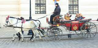 Browse 430 fiaker stock photos and images available, or search for liar or carriage horse to find more great stock photos and pictures. The Fiaker A Taxi With Tradition Virtual Vienna