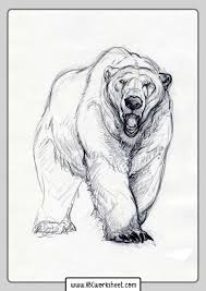 All grizzly bear coloring sheets and pictures are absolutely free and can be linked our grizzly bear coloring pages in this category are 100% free to print, and we'll never charge you for using, downloading, sending, or sharing them. Grizzly Bear Coloring Pages In 2020 Bear Art Concept Art Drawing Animal Drawings