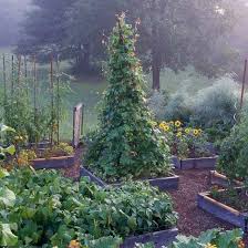 Formal planting patterns usually include an evergreen shrub or particularly stunning plant placed as a focal point in the garden. Grow A Vegetable Garden In Raised Beds Vegetable Garden Design Raised Garden Vegetable Garden Raised Beds