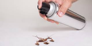 Not every pest control company handles every scenario. Here S How Easy Diy Pest Control Can Be Diy Pest Control Pest Control Best Pest Control