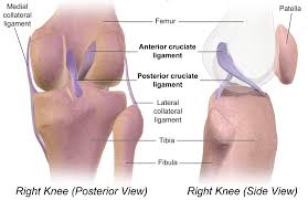 Maybe you would like to learn more about one of these? Knee Injuries