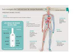 A part vous faire parler une langue étrangère de manière fluide, vous faire danser alors que vous détestez ça et vous faire envoyer des textos à votre ex à pas d'heure, quels peuvent bien être les effets de l'alcool sur votre corps ? Alcool Les Ravages De La Boisson Sur Notre Adn