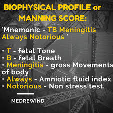 Image result for Biophysical Profile