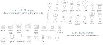 light bulb bases