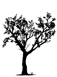 We did not find results for: Drawing Tree Drawing Simple Black And White Wall Painting