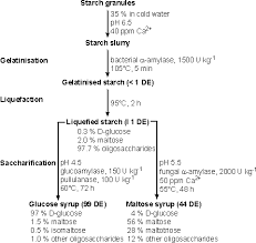 the use of enzymes in starch hydrolysis