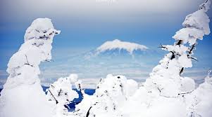 Image result for Hakkoda Walk