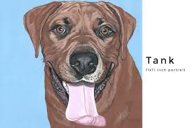 Custom Pet Portraits Art By Manda Animal Portraits Art Pet Portraits Custom Pet Portraits