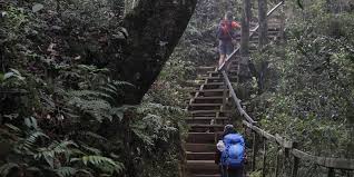 Maybe you would like to learn more about one of these? Mengintip Cara Malaysia Mengelola Gunung Kinabalu Halaman All Kompas Com