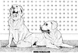 Golden Retriever Coloring Page By Yuckles Puppy Coloring Pages Dog Coloring Page Chibi Coloring Pages