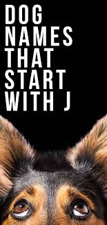 Jagachandra · moon of the universe ; Dog Names That Start With J Great Ideas For Your New Puppy