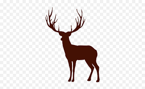 Evermore transparent green 2 lp taylor swift $22.97 $ 22. Deer Silhouette Transparent Png U0026 Svg Vector File Deer Png Vector Deer Head Png Free Transparent Png Images Pngaaa Com