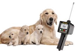 Draminski dog ovulation detector reviews how it works. Draminski Dod2 Ovulationsdetektor Fur Hundinnen