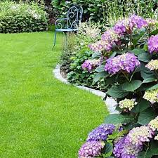 Video Staudenbeet Anlegen Hortensien Garten Pflanzen Staudenbeet