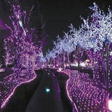 Purple Outdoor Lights Purple Christmas Lights Purple Christmas Christmas Lights