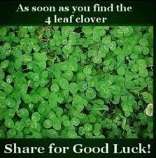 4 Leaf Clover Funny Pictures Lol Fun Facts