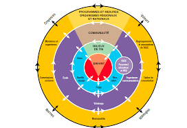diagram of the approach ecological