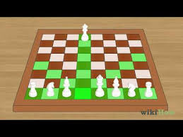 If you need professional help with completing any kind of homework, solution essays is the right place to get it. How To Play Chess For Beginners With Pictures Wikihow